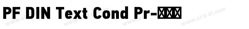 PF DIN Text Cond Pr字体转换 PF DIN Text Cond Pr字体转换